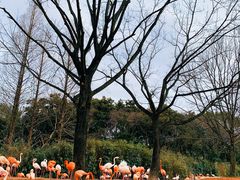 -上海野生动物园