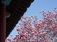 -齐白石旧居纪念馆