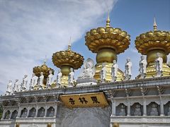 -上海东林寺(金山区)
