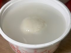 -海丝金凤(金鱼店)