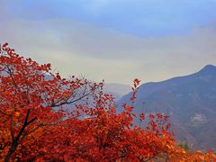 -周口店坡峰岭风景区