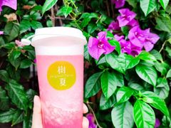-树夏(建设路店)