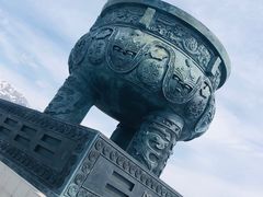 -中华福寿山