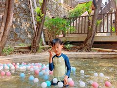 -罗浮山嘉宝田森林温泉度假酒店