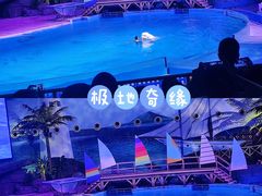 -海合安武汉极地海洋公园