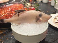 -莺花渡火锅City Green(万象城店)