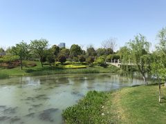 -尚贤河湿地