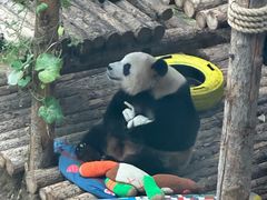 -大连森林动物园