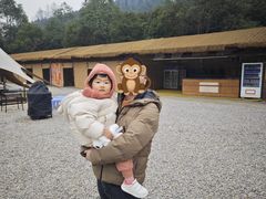 -地心探险极地