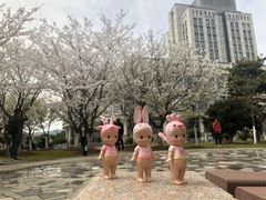 -江南大学(蠡湖校区)