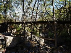 -云岫谷游猎自然风景区