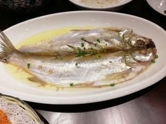 太湖白鱼-王四酒家苏帮菜馆(观前店)