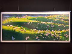 -罗红摄影艺术馆