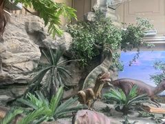 -国家自然博物馆