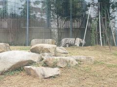 -上方山森林动物世界
