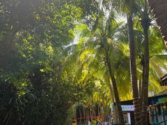 -海南分界洲岛旅游区