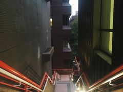 -香港大学