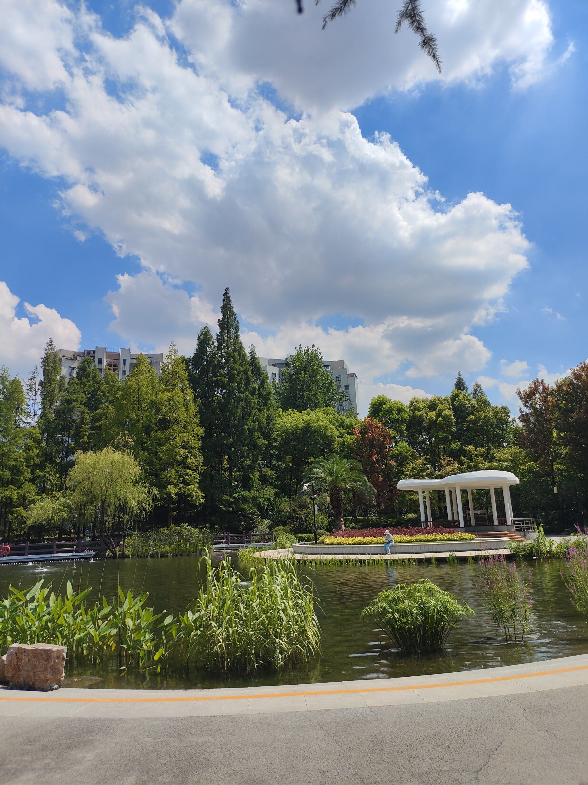 公园里的悠闲时光