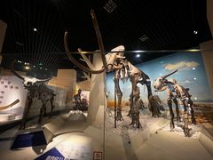 -国家自然博物馆