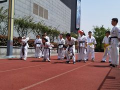 -极真空手道修远道场