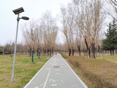 -洨河生态公园