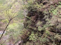-神农架景区