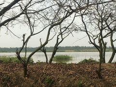 -大湾区中央湿地公园