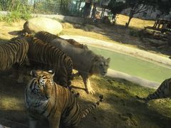 -泉州海丝野生动物世界