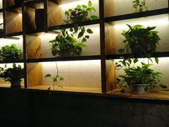 -黄三怪(银座和谐广场店)