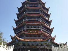 -铁山坪森林公园