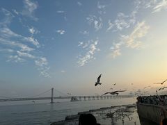-星海广场