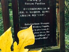 -巢湖姥山岛
