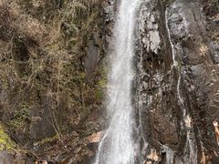 -姑婆山旅游区