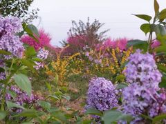-秦岭风景区