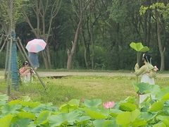 -梁鸿国家湿地公园