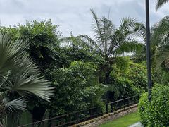 -雾山韩式烤肉·海南糟粕&椰子鸡火锅·海景餐厅(三亚绿发山海天JW万豪酒店)