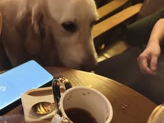 -咖法森林·咖啡  酒吧(天河店)