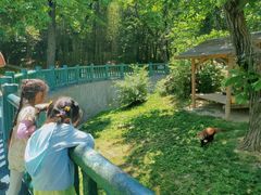 -西安秦岭野生动物园