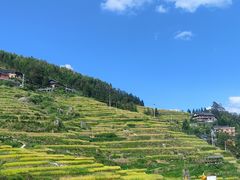 -紫鹊界梯田景区
