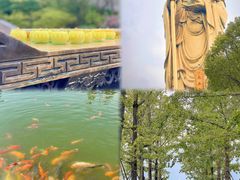 -石台牯牛降景区
