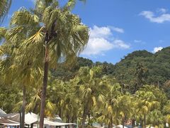-重庆海昌加勒比海水世界