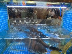 -浔味·山屿湖·正宗淳牌全鱼宴老字号
