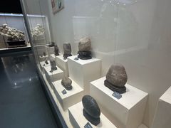 -安徽省地质博物馆