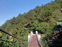 -铁山坪森林公园