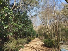 -西湖风景区-江洋畈生态公园