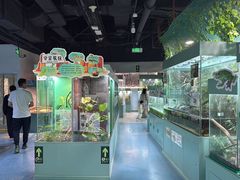 -上海大自然野生昆虫馆(东方明珠·爬宠昆虫探索中心)