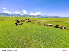 -新疆那拉提国家旅游度假区