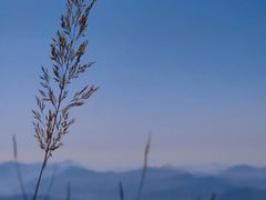 -白草畔自然风景区