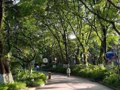 -桂林市榕杉湖景区