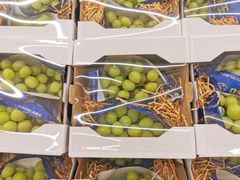 -盒马X会员店(上海森兰商都店)